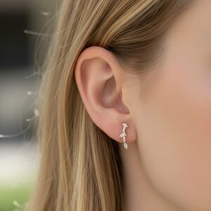 Elegant Silver Earrings